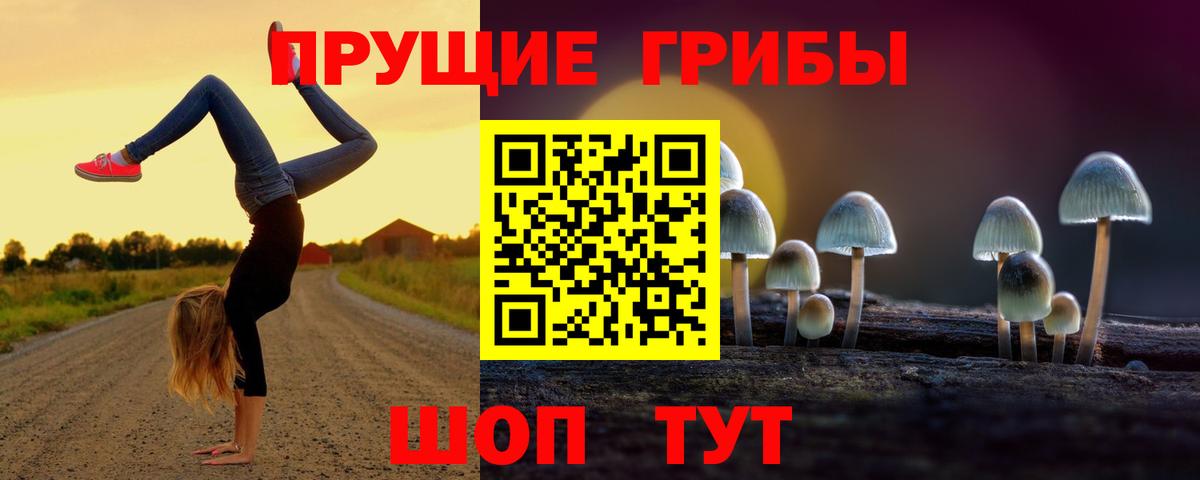 Галлюциногенные грибы мухоморы  Вход с VPN  Псилоцибиновые грибы прущие грибы  Новоуральск 